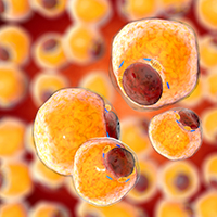 2018年第三次临时股东大会通知公告