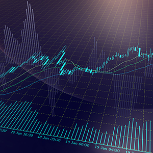 股票发行认购结果公告(更正公告)