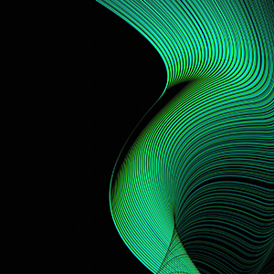 股票发行认购结果公告