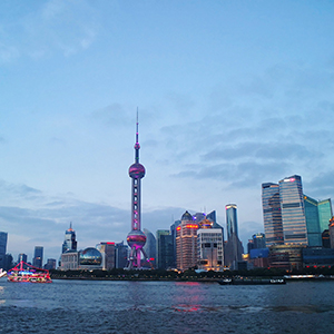 第二届监事会第十次会议决议公告