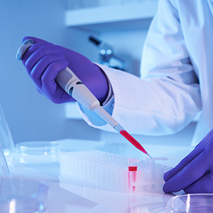 关于收到高新技术企业证书的公告