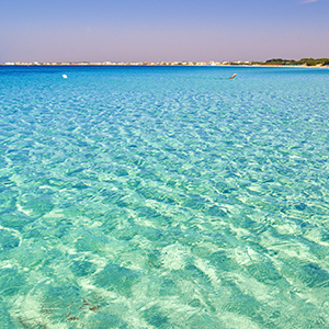 关于股票延期恢复转让的进展公告