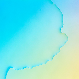 关于股票延期恢复转让的进展公告