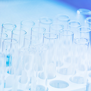 关于股票延期恢复转让的进展公告