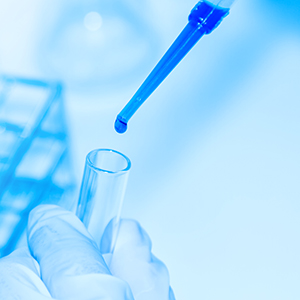 关于股票延期恢复转让的进展公告