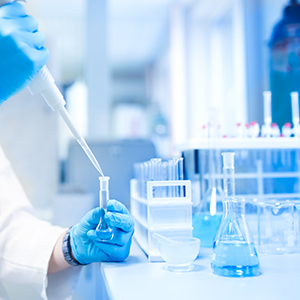 关于股票延期恢复转让的进展公告