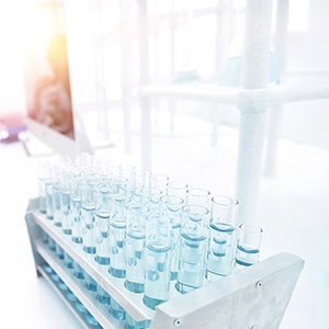 关于股票延期恢复转让的进展公告