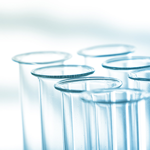 关于股票延期恢复转让的公告