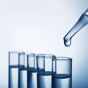 第二届监事会第八次会议决议公告