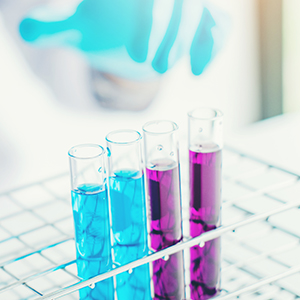 第二届董事会第十四次会议决议公告