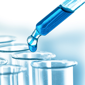 关于股票暂停转让进展公告