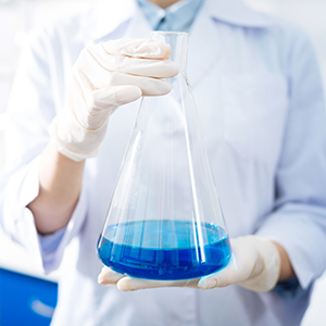 关于股票暂停转让进展公告