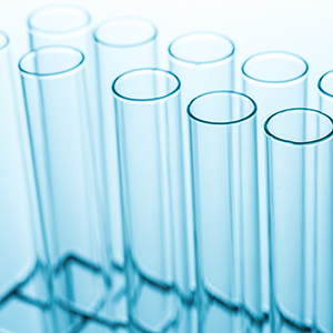 关于股票暂停转让进展公告