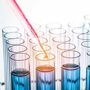 关于股票暂停转让进展公告