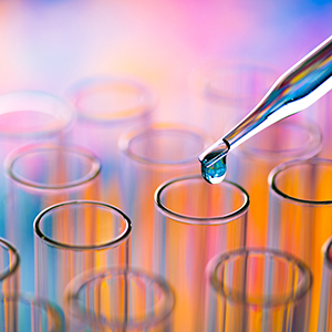 关于股票暂停转让进展公告