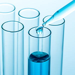 2018年第四次临时股东大会决议公告