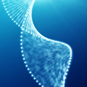 关于关联方为公司向银行申请贷款提供担保的关联交易公告