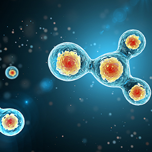 2018 年第四次临时股东大会通知公告
