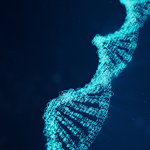 关于终止期权激励股票发行的公告