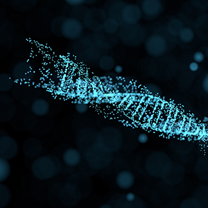 第二届董事会第十二次会议决议公告