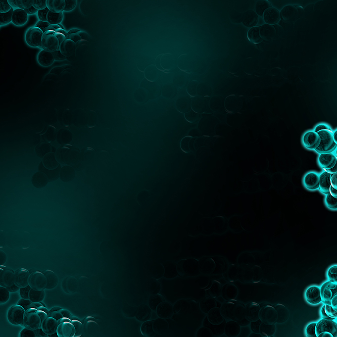 2017年年度股东大会法律意见书