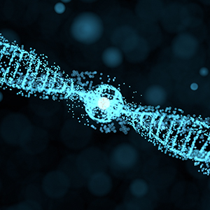 2017 年年度股东大会决议公告