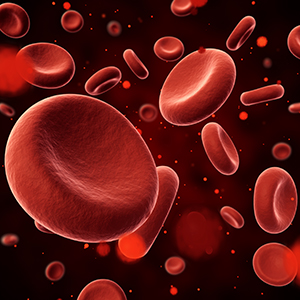 第二届董事会第十一次会议决议公告