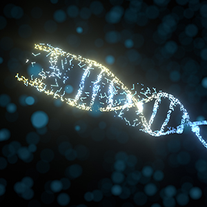 2017 年年度股东大会通知公告