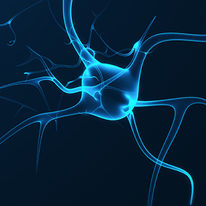 关于预计2018 年度公司日常性关联交易的公告