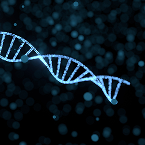 第二届监事会第六次会议决议公告