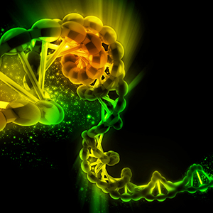 2018年第二次临时股东大会决议公告