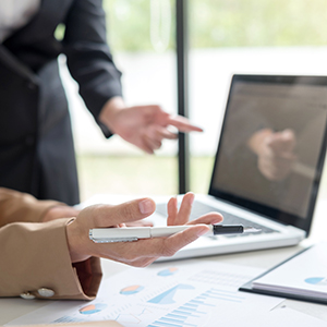 第二届监事会第十七次会议决议公告