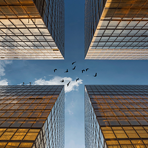 关于拟修订公司章程公告