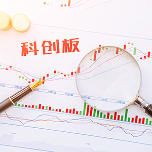 关于首次公开发行股票并在科创板上市申请获上海证券交易所受理暨增加暂停转让事项的公告