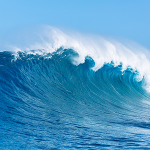 2022年第三次临时股东大会通知