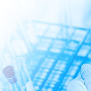 第三届监事会第十六次会议决议