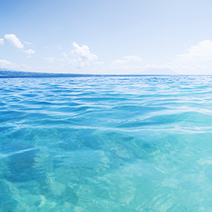 2016年年度报告（更正后）