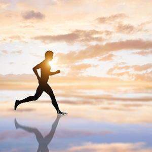 2017年年度报告（更正后）