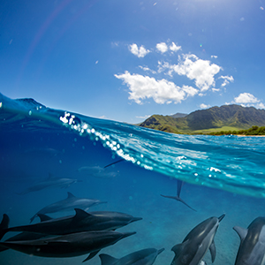 2023年半年度报告