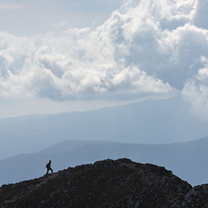 第三届董事会第八次会议决议