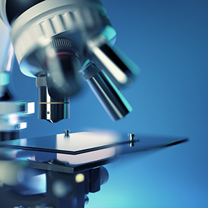 2024年年度股东大会通知